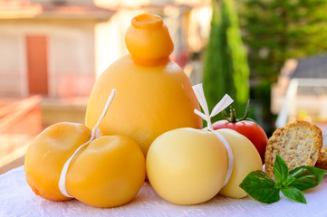 Cheese collection, Italian cheeses provolone, caciocavallo, scamorza made from sheep or cow milk in South Italy, white and yellow smoked.