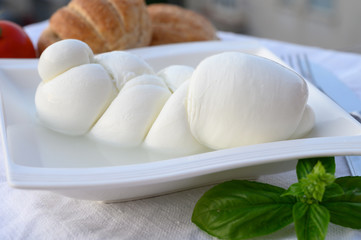 Fresh soft white italian cheese braid mozzarella buffalo made from Italian buffalo's milk by pasta filata method