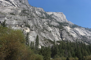 Fototapeta na wymiar Views of Yosemite National Park while hiking to Half Dome