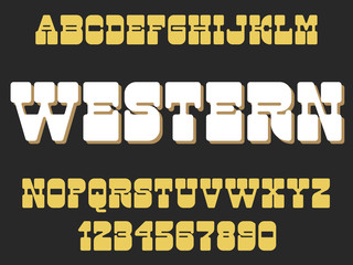 Vintage decorative font Western design