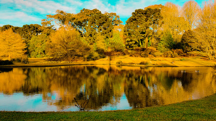 Distrito de Faxinal do Céu - Pinhão - Paraná - Brasil