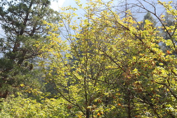 Views of Yosemite National Park while hiking to Half Dome