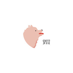 Funny cartoon style icon of pomeranian spitz for different design. Cute family dog with text.