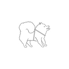 Funny line style icon of pomeranian spitz for different design. Cute family dog for coloring book.