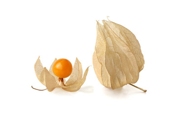 Closed and open cocoon of cape gooseberry isolated on white