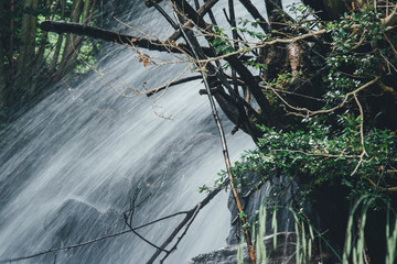 Agua fluyendo en movimiento en el bosque