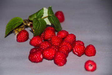 raspberries on a branch