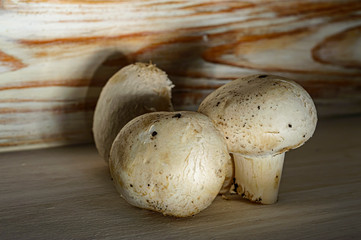 organic natural fresh mushrooms mushrooms close up