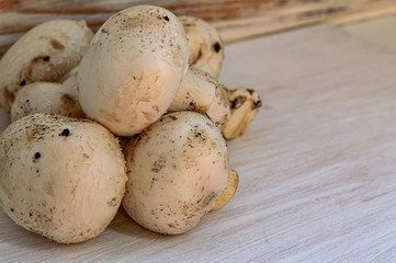 organic natural fresh mushrooms mushrooms close up