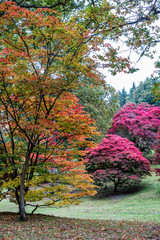 Naklejka premium Autumn Colours