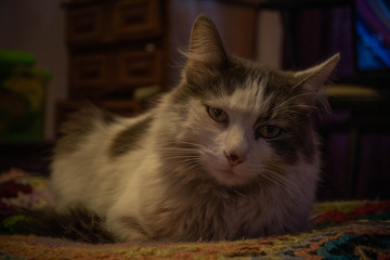 Su mirada