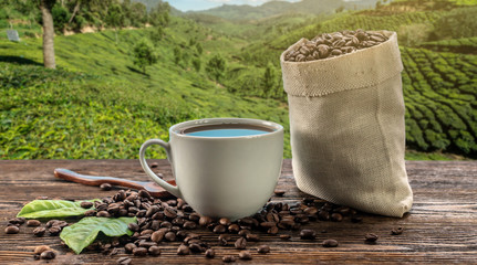 Cup of fresh coffee and roasted beans in a bag on the table against the backdrop of mountain coffee plantations