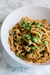 Sesame Udon Noodles Recipe with Ground Chicken, Asian Recipes at Home 