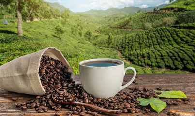 Cup of fresh coffee and roasted beans in a bag on the table against the backdrop of mountain coffee plantations