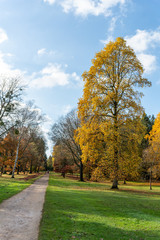 Naklejka premium Autumn Colours