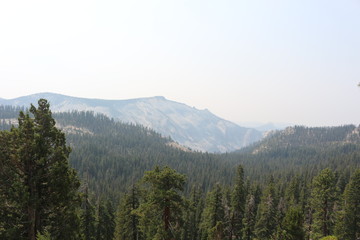 Yosemite National Park