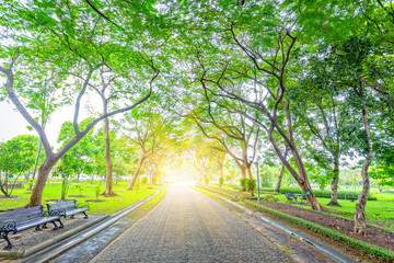 Obraz premium Walking or running in the park.