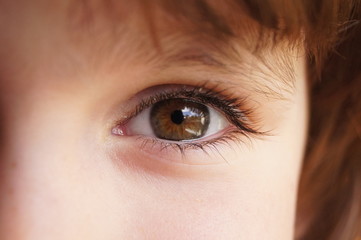 Little girl's happy brown eye