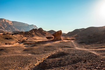 Sculpture of a mushroom and a half made by nature in the Arave Valley near Eilat. Timna Park, Israel. 