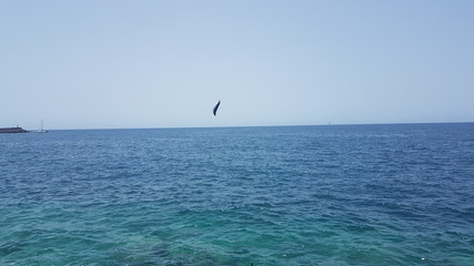 Obraz premium seagulls on the sea