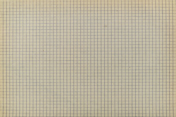 Old Sheet of paper with grid