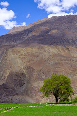 Turtuk village is the last outpost of India