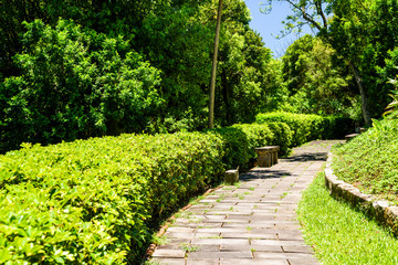Pathway in a Peaceful Green Garden