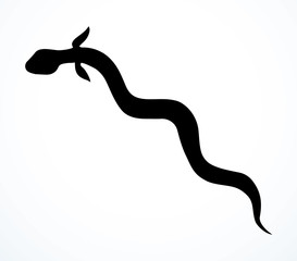 Eel. Vector drawing. Sea fish icon