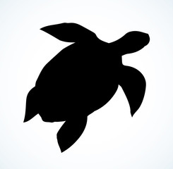 Sea turtle. Vector drawing icon