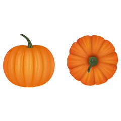 Isolated pumpkins vector . Top and side view