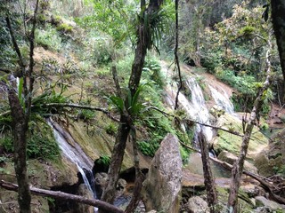 waterfall in the forest