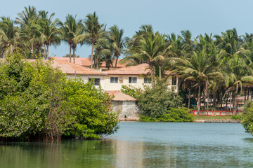 Fototapeta na wymiar Palmeral y casas en la desembocadura del río Gambia