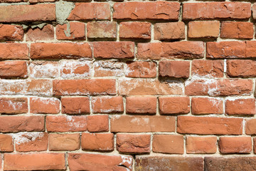 Old brick wall for a backdrop. Concrete joints, white salt release. Weathered brickwork. Cracks in the red brick.