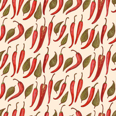 Chilli pepper. Botanical hand drawn illustration pattern. Herbs and Spices. Cartoon style 