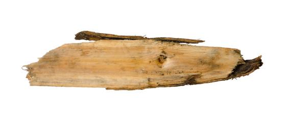 Wooden splinter or piece of bark isolated on white background. Item for mock up, scene creator and other design.