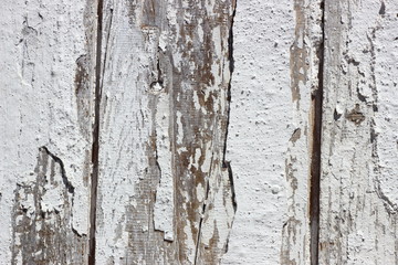 close-up white paint worn wooden panel