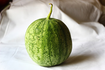Close up of a native watermelon on white fabric