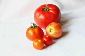 close up of small and large tomatoes on a white fabric