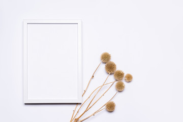 Summer composition with dried thistle flower. White wooden frame with empty space for text. Everything is arranged on a white background. Flat top view.