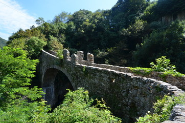 Fototapeta na wymiar Clanezzo, Ponte medievale di Attone, anno 975 dc, Dogana Veneta sul fiume Imagna. Valle Imagna Bergamo, lombardia, Italia
