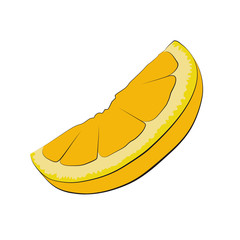 Orange fruit with black outline digital illustration. Advertising bright fruit object on white background. Citrus orange slice fruit isolated.