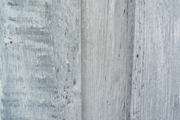 Obraz premium Grey texture background cement