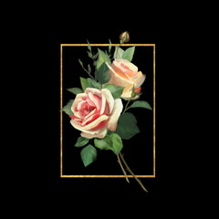 Gold frame with flowers. Bouquet of rose flowers. Black background