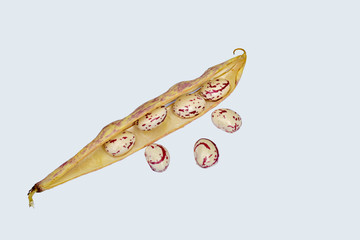 Pod and grains of ripe beans on white.