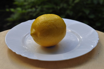 Ripe fresh lemon in the garden