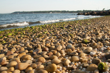 beach and sea