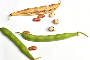 Pods and several grains of ripe beans lie on white.