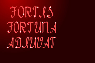 "Fortis fortuna adiuvat" a saying meaning "Fortune loves the bold"  inscription in Latin letters with a brush different thickness red and glowing stars. Vector illustration.