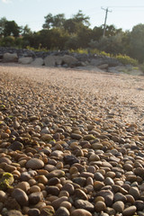 stone path at the beach