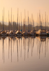 boats in marina